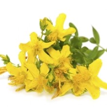 Load image into Gallery viewer, Saint John's Wort - Certified Organic Essential Oil, 5ml