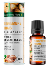 Load image into Gallery viewer, Organic Ginger Essential Oil 10ml by Laboratoire Altho