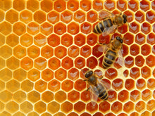 Load image into Gallery viewer, Propolis Syrup for Sore Throat &amp; Coughs 200ml