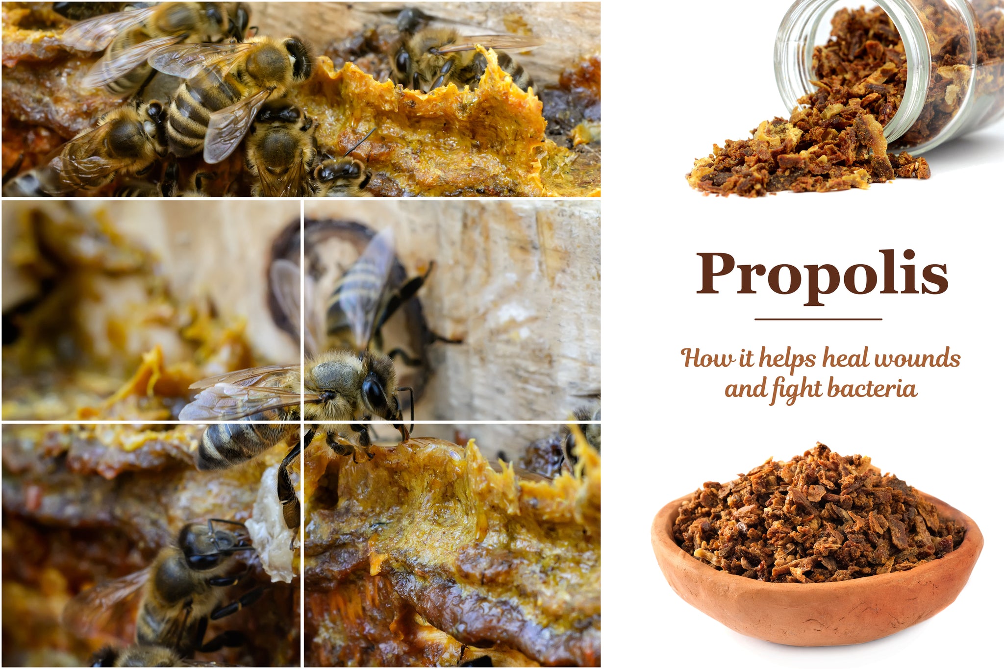 Organic Propolis Syrup | Laboratoire ALTHO | Ireland Online ...
