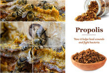 Load image into Gallery viewer, Propolis Syrup for Sore Throat &amp; Coughs 200ml