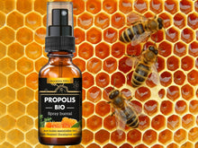 Load image into Gallery viewer, Propolis - Organic Natural Antiseptic Spray, 30ml