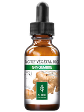Load image into Gallery viewer, Ginger Organic Plant Supplement, 30ml