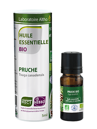 Buy canadian hemlock essential oil online in Ireland. 100% pure organic essential oil for sale in Ireland. Certified organic canadian hemlock essential oil. Irish compamy. 5 star reviews
